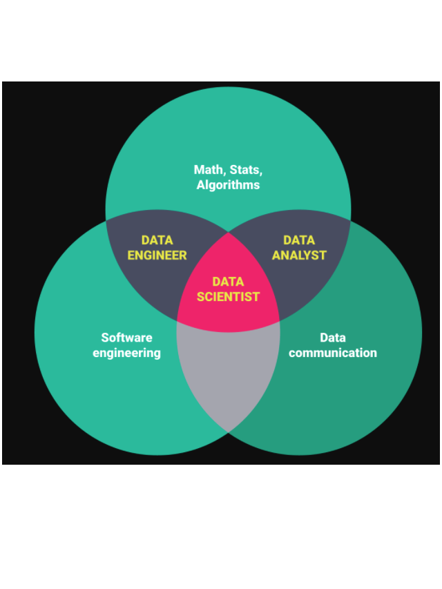What Is Data Science Engineering ?