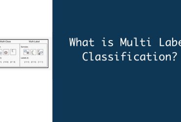 What is Multi Label Classification